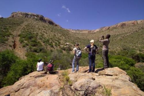 Mountain Zebra NP (2)